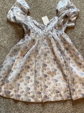 Mabel NWT Floral Sheer White Mini Dress with Blue Print